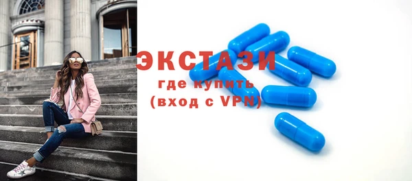 стаф Ельня