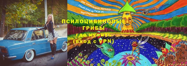 сатива Абаза