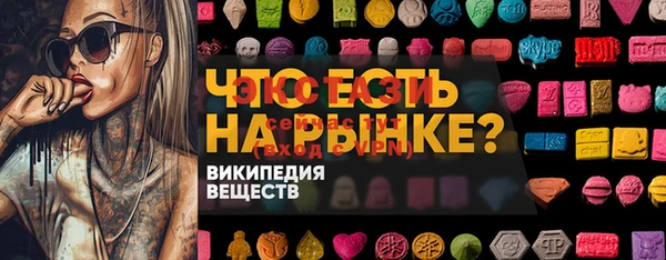 хмурый Алексин