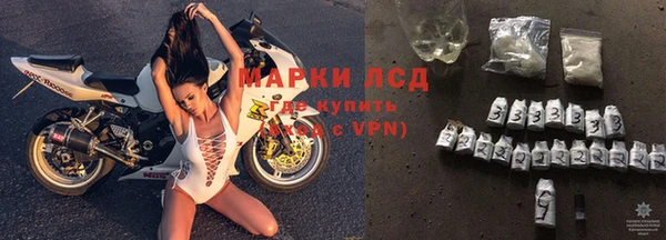 сатива Абаза