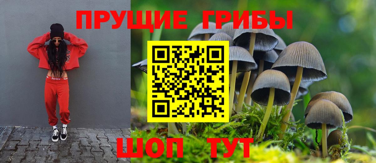 Псилоцибиновые грибы Cubensis  Галлюциногенные грибы Cubensis  Воронеж  Вход с VPN 